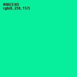 #08EE9D - Caribbean Green Color Image