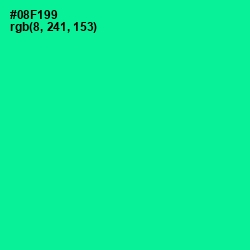 #08F199 - Caribbean Green Color Image