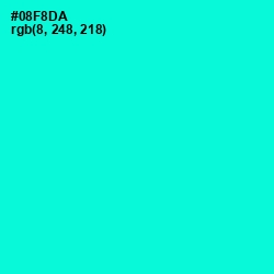 #08F8DA - Bright Turquoise Color Image