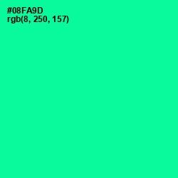 #08FA9D - Caribbean Green Color Image