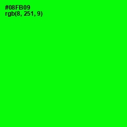 #08FB09 - Green Color Image