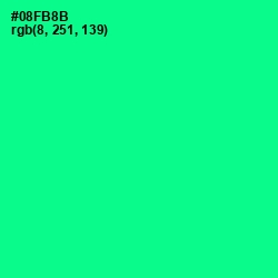 #08FB8B - Caribbean Green Color Image