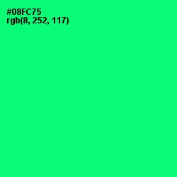 #08FC75 - Spring Green Color Image