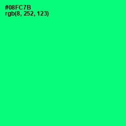 #08FC7B - Spring Green Color Image