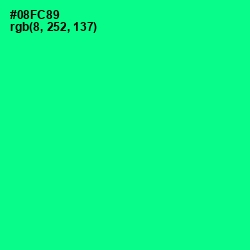 #08FC89 - Caribbean Green Color Image