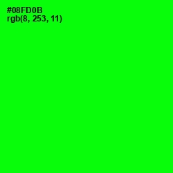 #08FD0B - Green Color Image