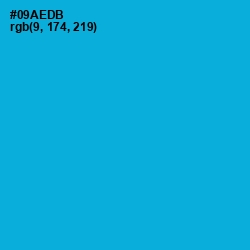 #09AEDB - Cerulean Color Image
