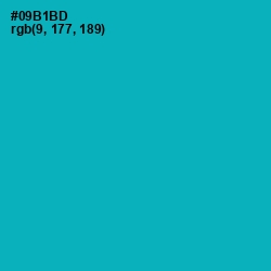 #09B1BD - Bondi Blue Color Image