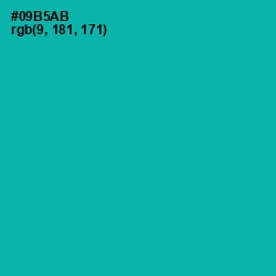 #09B5AB - Persian Green Color Image