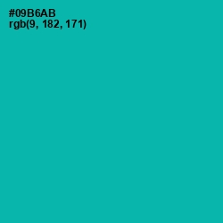 #09B6AB - Persian Green Color Image