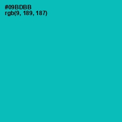 #09BDBB - Bondi Blue Color Image