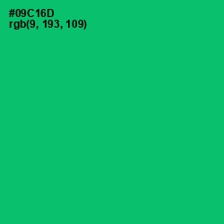 #09C16D - Malachite Color Image