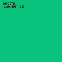 #09C37D - Malachite Color Image