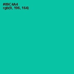 #09C4A4 - Caribbean Green Color Image