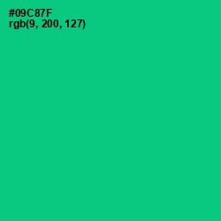 #09C87F - Malachite Color Image