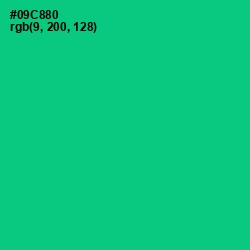 #09C880 - Caribbean Green Color Image