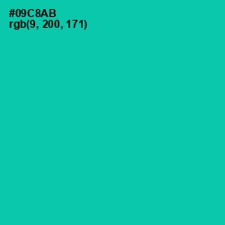 #09C8AB - Caribbean Green Color Image