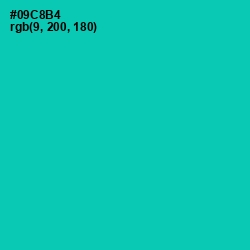 #09C8B4 - Caribbean Green Color Image