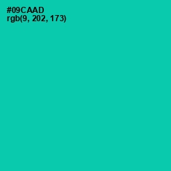 #09CAAD - Caribbean Green Color Image