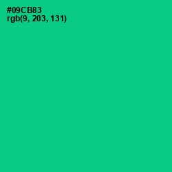 #09CB83 - Caribbean Green Color Image