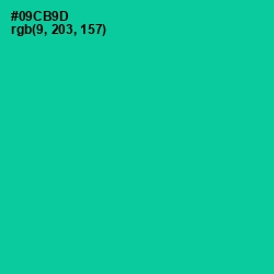 #09CB9D - Caribbean Green Color Image