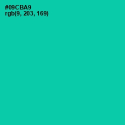 #09CBA9 - Caribbean Green Color Image