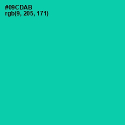 #09CDAB - Caribbean Green Color Image