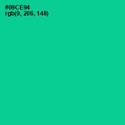 #09CE94 - Caribbean Green Color Image