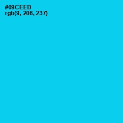 #09CEED - Bright Turquoise Color Image