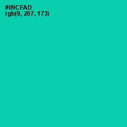 #09CFAD - Caribbean Green Color Image