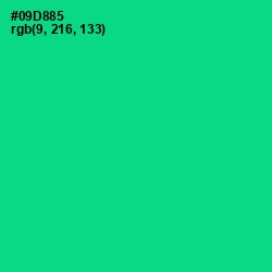 #09D885 - Caribbean Green Color Image