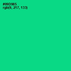 #09D985 - Caribbean Green Color Image