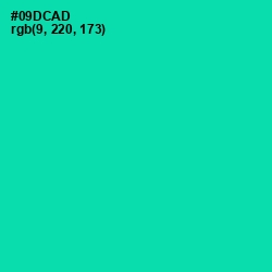 #09DCAD - Caribbean Green Color Image