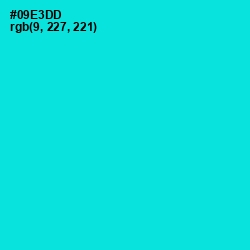 #09E3DD - Bright Turquoise Color Image