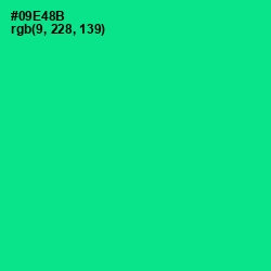 #09E48B - Caribbean Green Color Image