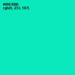 #09E9BB - Caribbean Green Color Image