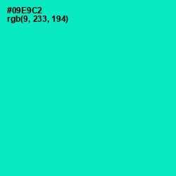 #09E9C2 - Bright Turquoise Color Image