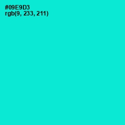 #09E9D3 - Bright Turquoise Color Image