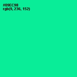 #09EC98 - Caribbean Green Color Image