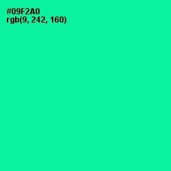 #09F2A0 - Caribbean Green Color Image