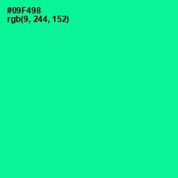 #09F498 - Caribbean Green Color Image