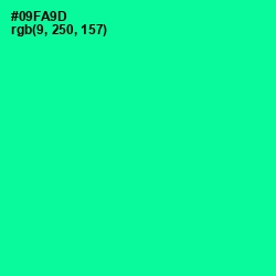 #09FA9D - Caribbean Green Color Image