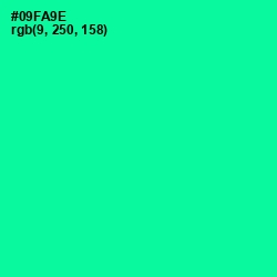 #09FA9E - Caribbean Green Color Image