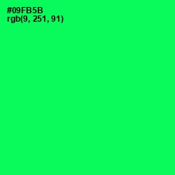 #09FB5B - Malachite Color Image