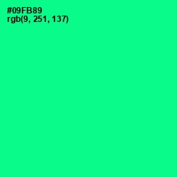 #09FB89 - Caribbean Green Color Image