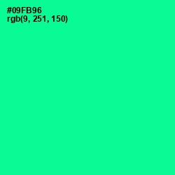 #09FB96 - Caribbean Green Color Image