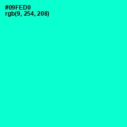 #09FED0 - Bright Turquoise Color Image