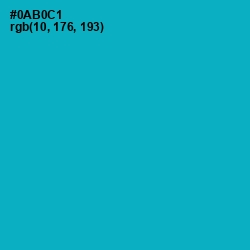 #0AB0C1 - Cerulean Color Image