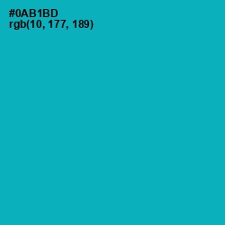 #0AB1BD - Bondi Blue Color Image