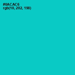 #0ACAC6 - Robin's Egg Blue Color Image